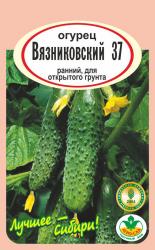 огурец ВЯЗНИКОВСКИЙ - 37 / АГРО САД /